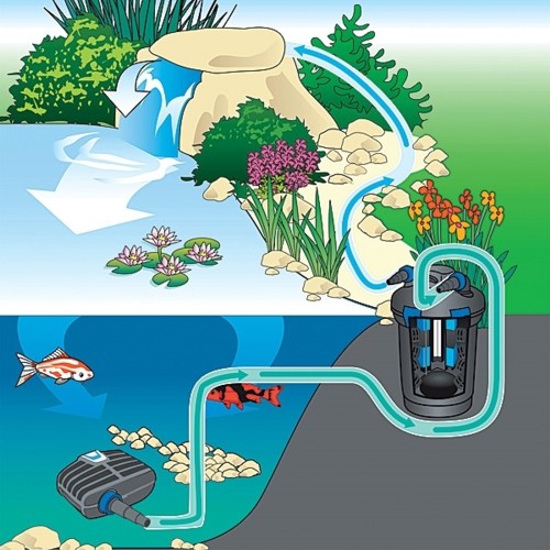 Oase BioPress 1600 Pressure Filter - Typical Installation shown with Oase Eco Premium Filter Pump