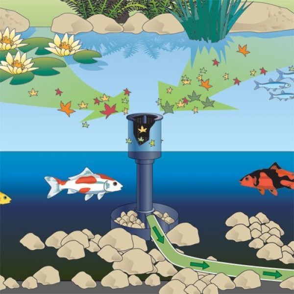 vật liệu lọc bể cá koi, vật liệu lọc hồ cá koi, lọc bể cá koi, cách làm hệ thống lọc nước hồ cá koi, cách làm lọc nước hồ cá koi
