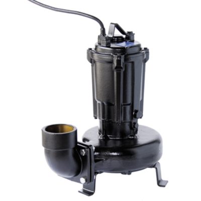 ShinMaywa 80CNL42.2T-2 Pond & Waterfall Pump