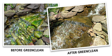 GreenClean Granular Algaecide - Before and After