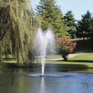 Kasco 4400JF 1 HP Floating Fountain - Sequoia Fountain Pattern - 18' tall x 11' wide Geyser