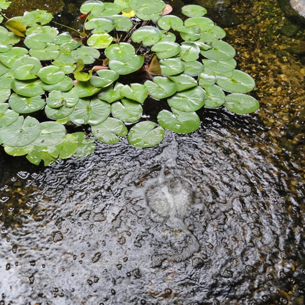 Atlantic Water Gardens Typhoon 1800 Air Pump - In Pond Use - Summer