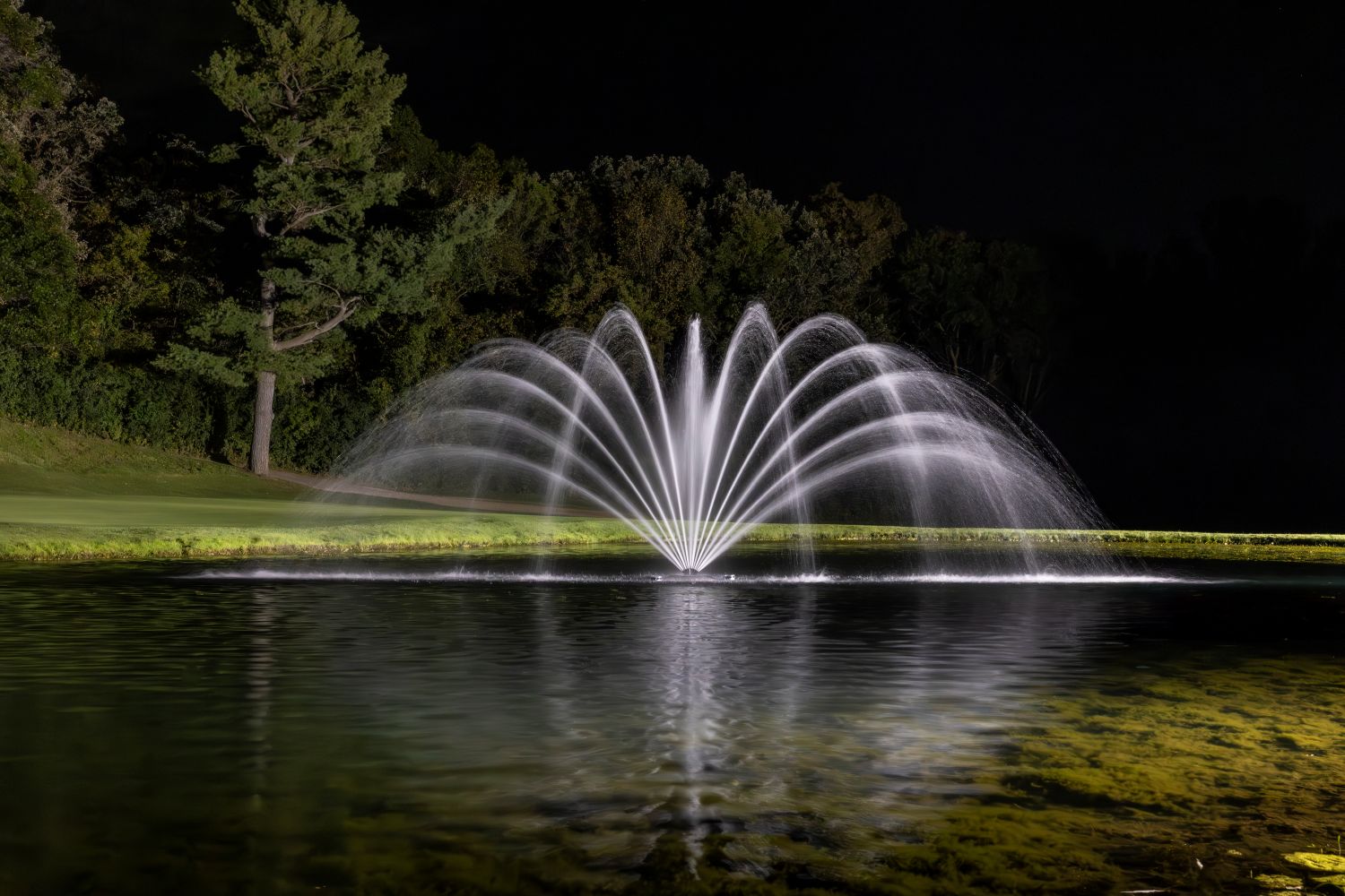 Kasco WaterGlow W25 LED Lighting Kits - Image 4
